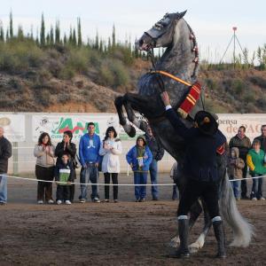 Fotografía de Feria del Caballo en Cúllar - 