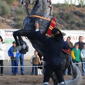 Fotografía de Feria del Caballo en Cúllar - 