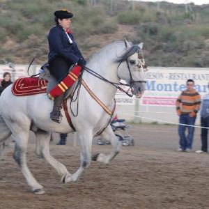 Fotografía de Feria del Caballo en Cúllar - 