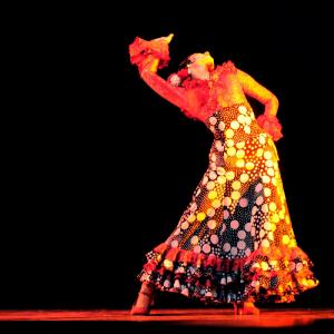 Fotografía de Concurso Coreografías - Conservatorio de Danza