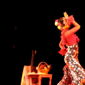 Fotografía de Concurso Coreografías - Conservatorio de Danza