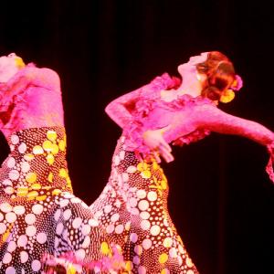 Fotografía de Concurso Coreografías - Conservatorio de Danza