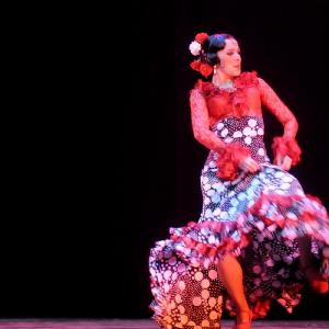Fotografía de Concurso Coreografías - Conservatorio de Danza