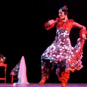 Fotografía de Concurso Coreografías - Conservatorio de Danza