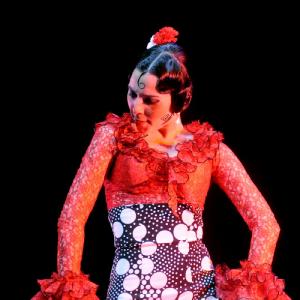 Fotografía de Concurso Coreografías - Conservatorio de Danza