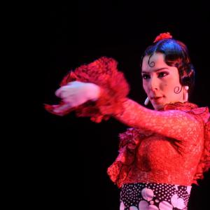 Fotografía de Concurso Coreografías - Conservatorio de Danza