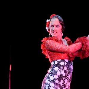 Fotografía de Concurso Coreografías - Conservatorio de Danza