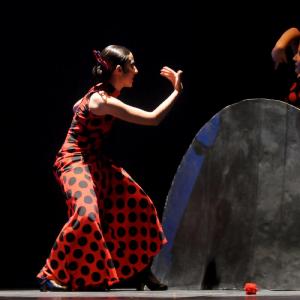 Fotografía de Concurso Coreografías - Conservatorio de Danza