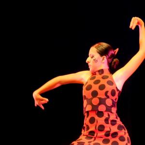 Fotografía de Concurso Coreografías - Conservatorio de Danza