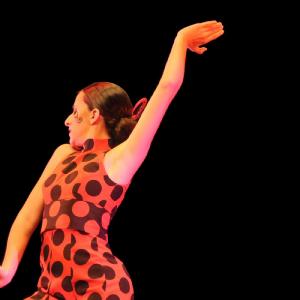 Fotografía de Concurso Coreografías - Conservatorio de Danza