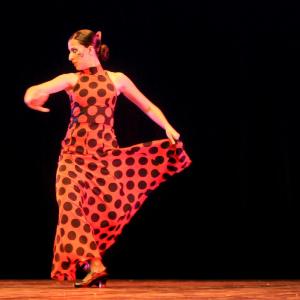 Fotografía de Concurso Coreografías - Conservatorio de Danza