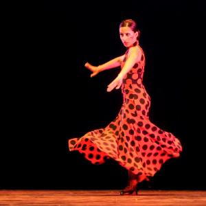 Fotografía de Concurso Coreografías - Conservatorio de Danza