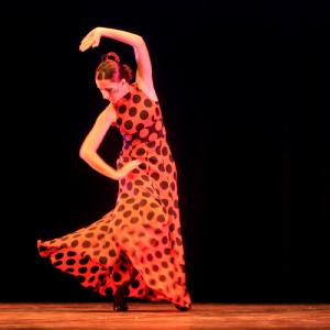 Fotografía de Concurso Coreografías - Conservatorio de Danza