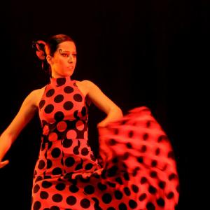 Fotografía de Concurso Coreografías - Conservatorio de Danza