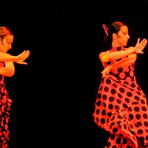 Fotografía de Concurso Coreografías - Conservatorio de Danza