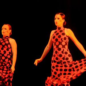 Fotografía de Concurso Coreografías - Conservatorio de Danza