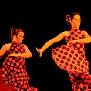 Fotografía de Concurso Coreografías - Conservatorio de Danza