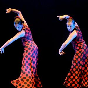 Fotografía de Concurso Coreografías - Conservatorio de Danza