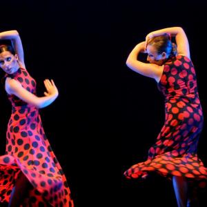 Fotografía de Concurso Coreografías - Conservatorio de Danza