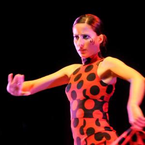 Fotografía de Concurso Coreografías - Conservatorio de Danza