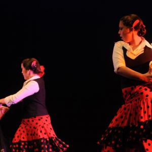 Fotografía de Concurso Coreografías - Conservatorio de Danza
