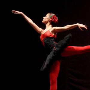 Fotografía de Muestra Terpsícore  - Terpsícore, Taller de Danza