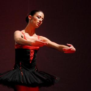 Fotografía de Muestra Terpsícore  - Terpsícore, Taller de Danza
