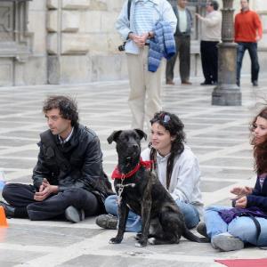 Fotografía de Arte en la calle - La mona y el boquerón