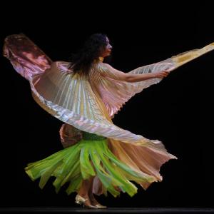 Fotografía de Gala de Danza oriental en Armilla - 