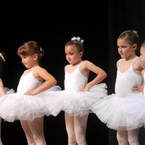 Fotografía de Terpsícore - Terpsícore, Taller de Danza