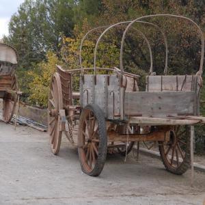 Fotografía de Feria del caballo en Cúllar - 