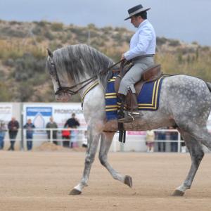 Fotografía de Feria del caballo en Cúllar - 