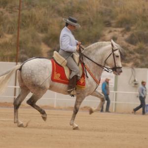 Fotografía de Feria del caballo en Cúllar - 