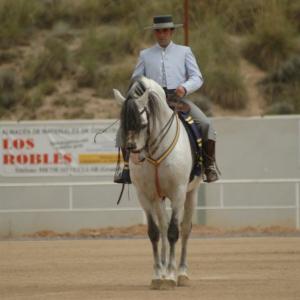 Fotografía de Feria del caballo en Cúllar - 