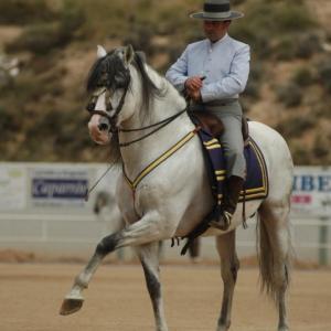 Fotografía de Feria del caballo en Cúllar - 