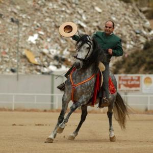 Fotografía de Feria del caballo en Cúllar - 