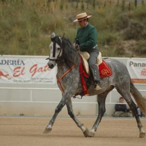 Fotografía de Feria del caballo en Cúllar - 