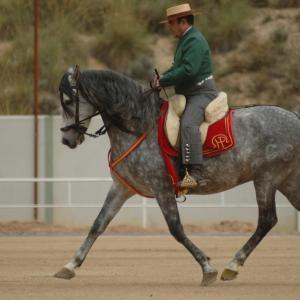 Fotografía de Feria del caballo en Cúllar - 