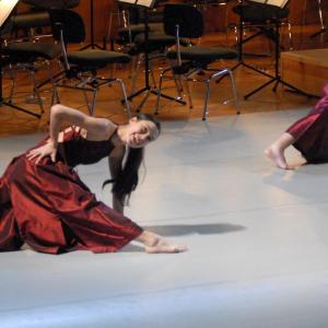 Fotografía de Una orquesta en danza - Da.Te Danza