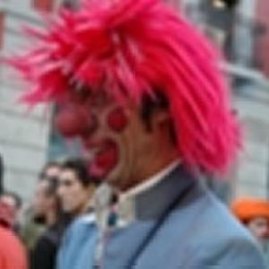 Fotografía de Jornadas en defensa del Circo - 