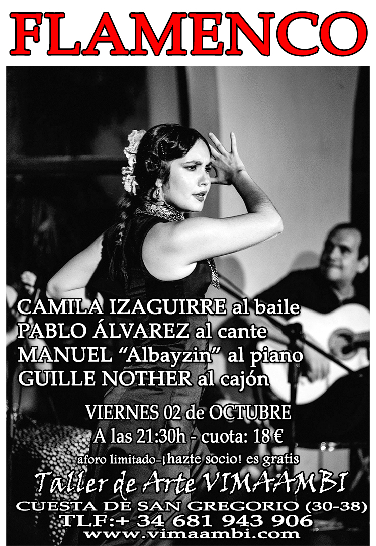 FLAMENCO EN TALLER DE ARTE VIMAAMBI