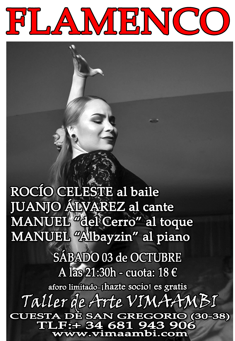 FLAMENCO EN TALLER DE ARTE VIMAAMBI