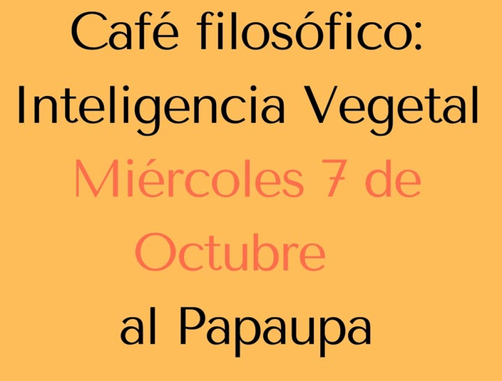Los miércoles en el Papaupa